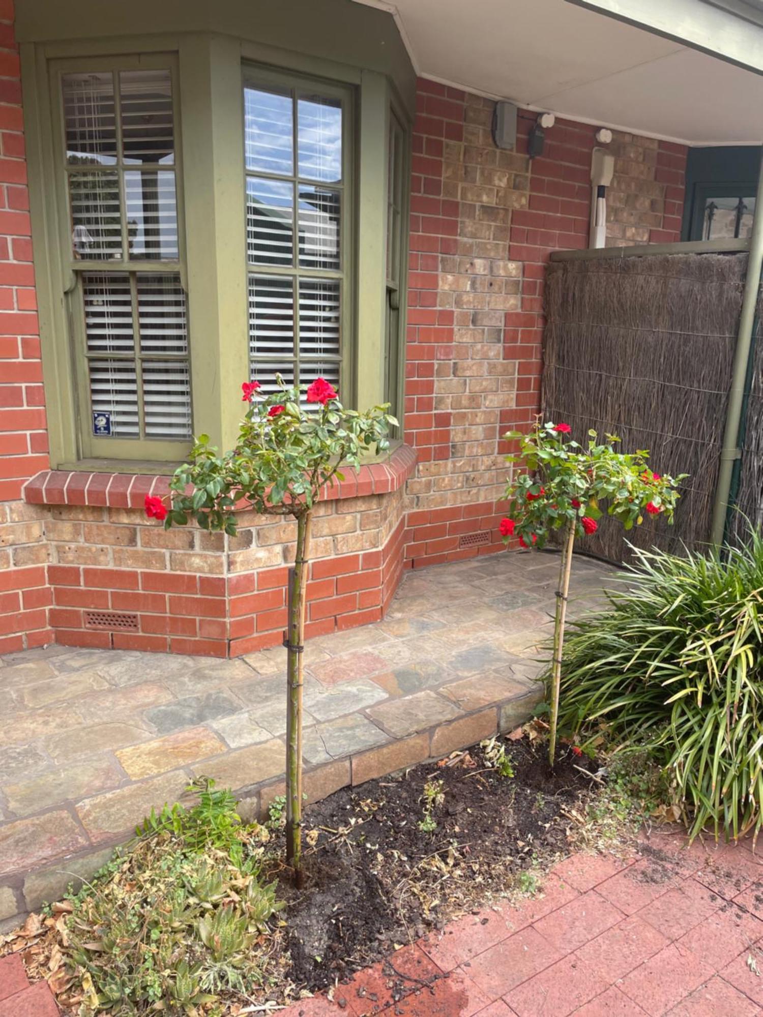 Adelaide Style Accommodation-Getaway In North Adelaide- Close To City Екстериор снимка
