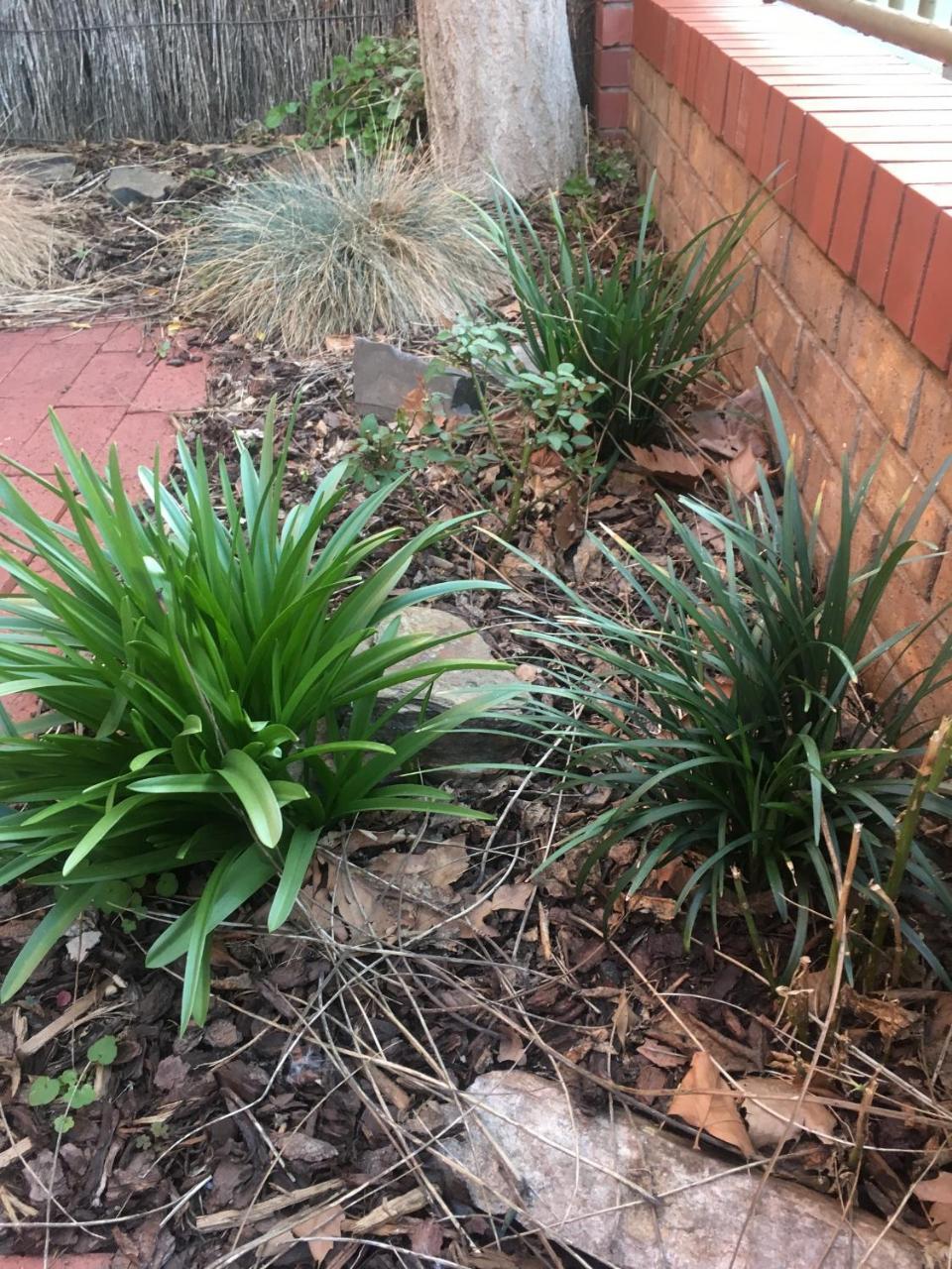 Adelaide Style Accommodation-Getaway In North Adelaide- Close To City Екстериор снимка