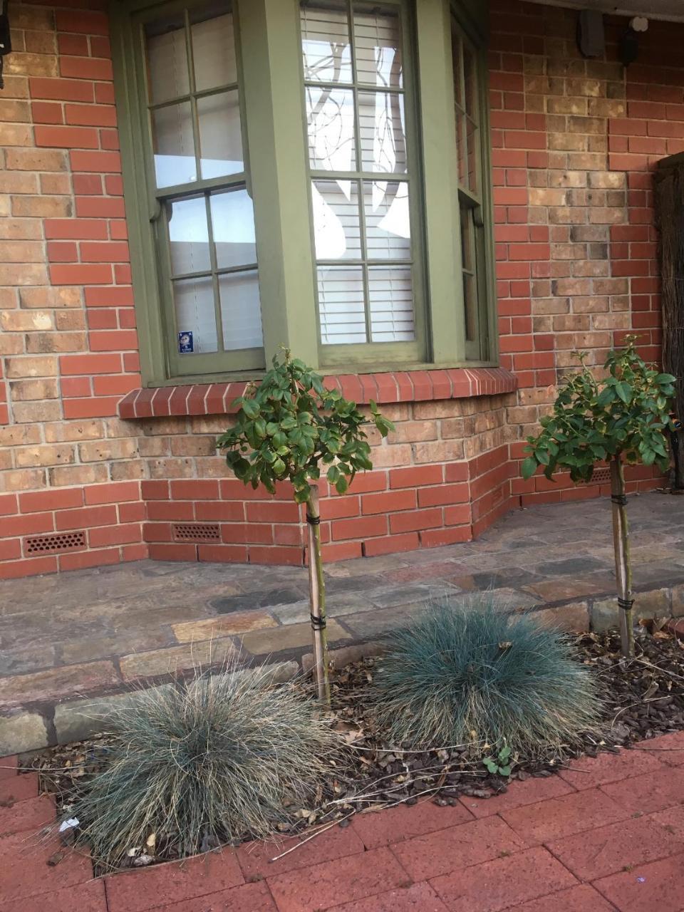 Adelaide Style Accommodation-Getaway In North Adelaide- Close To City Екстериор снимка
